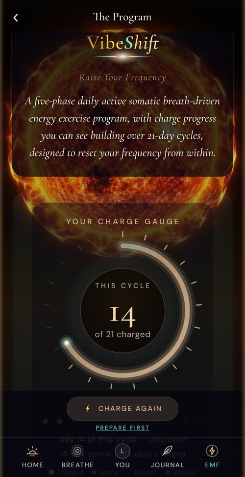 The Charge Gauge in the VibeShift app, showing this cycle's days charged, honestly counted