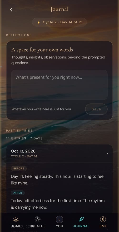 The Journal in the VibeShift app, holding your own words day by day