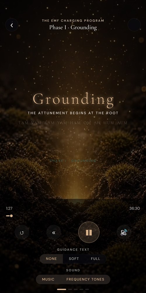 The five-phase player in the VibeShift app, on Phase I, Grounding